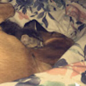 Meet your Posher, Precia